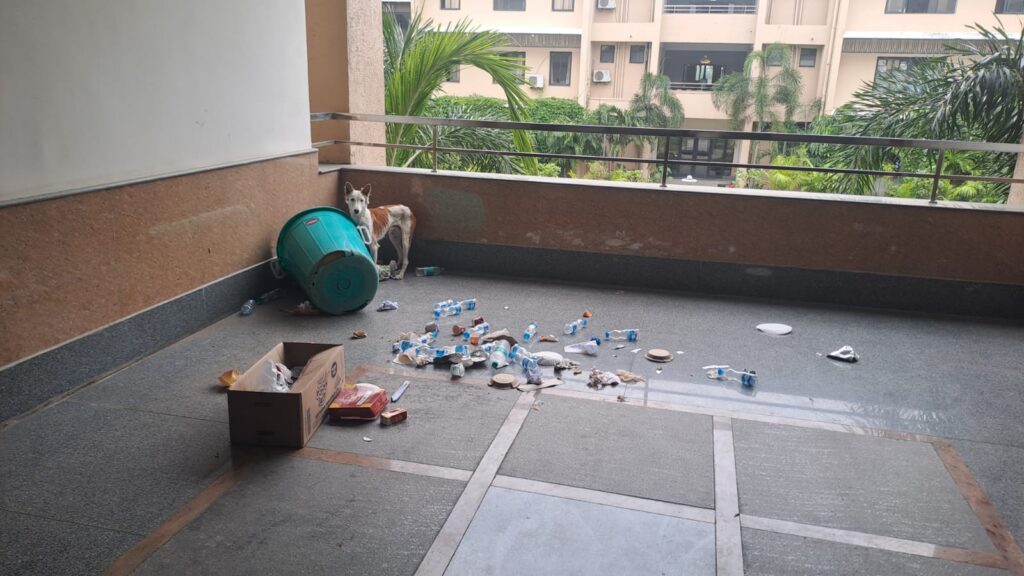 Garbage on first floor of Collectorate